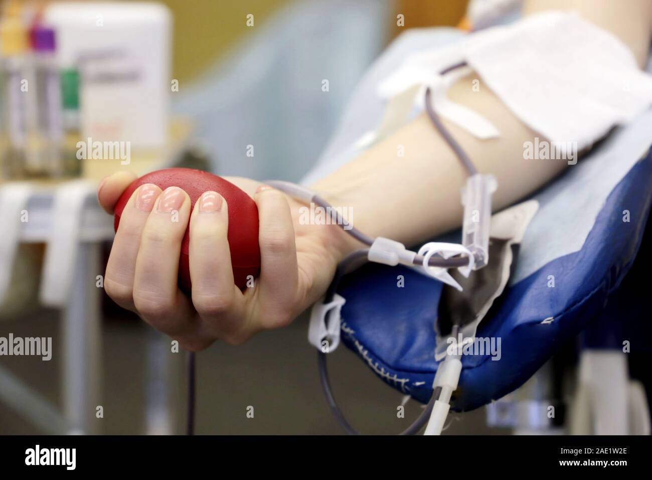 Blood donor during donation with a red bouncy ball in hand. Concept of donorship, transfusion, health care Stock Photo
