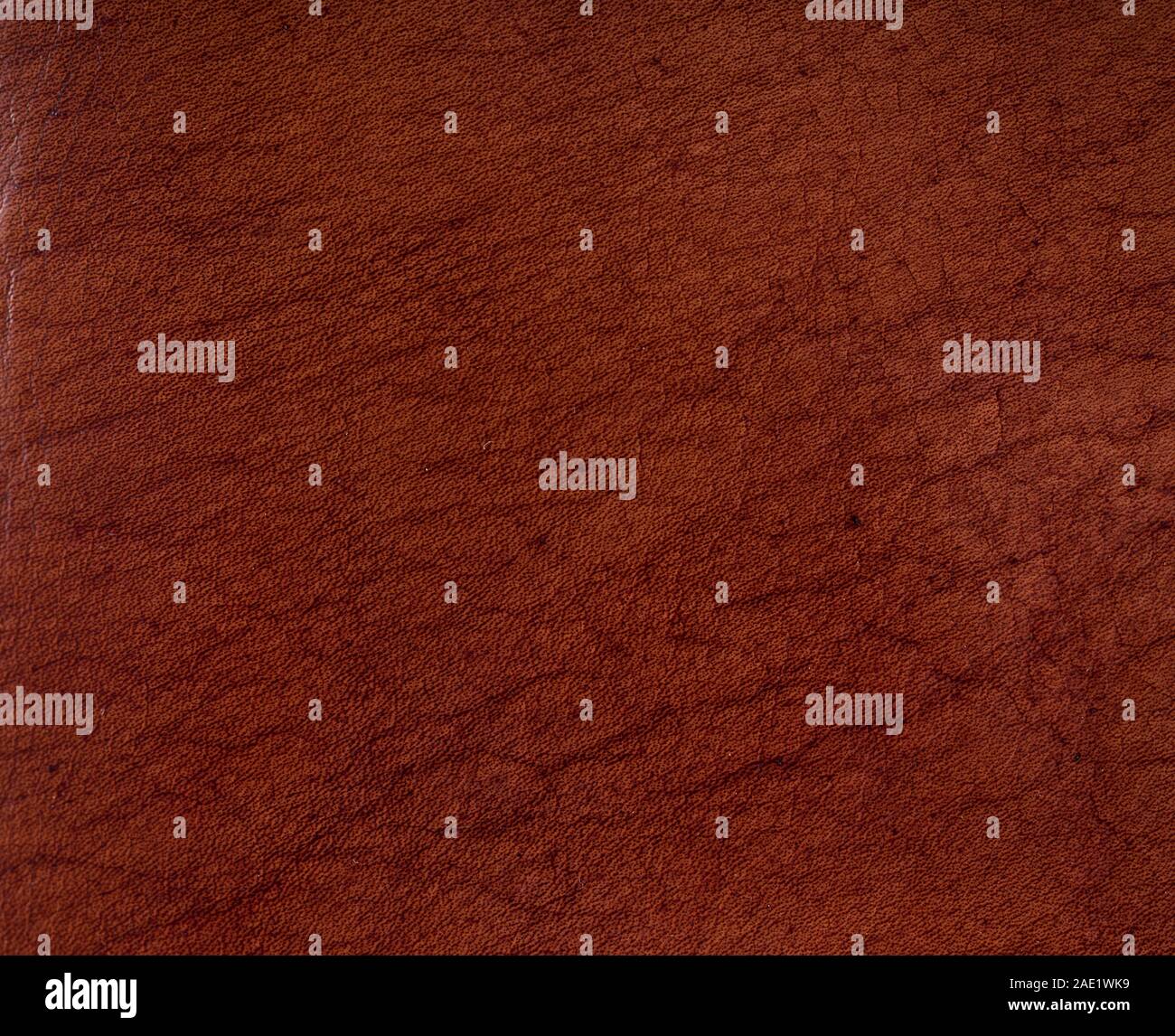 brown old leather surface texture Stock Photo