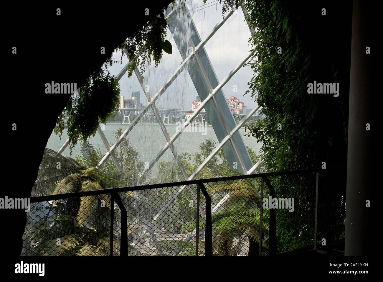 The view from one of the viewing portals in the cloud forest Stock Photo