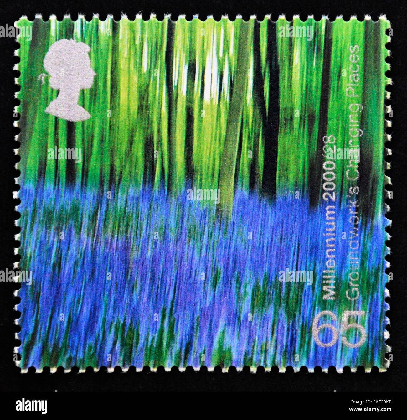 Postage stamp. Great Britain. Queen Elizabeth II. Millenium Projects. 'Stone and Soil'. Bluebell Wood (Groundwork's Changing Places Project). 65p. Stock Photo