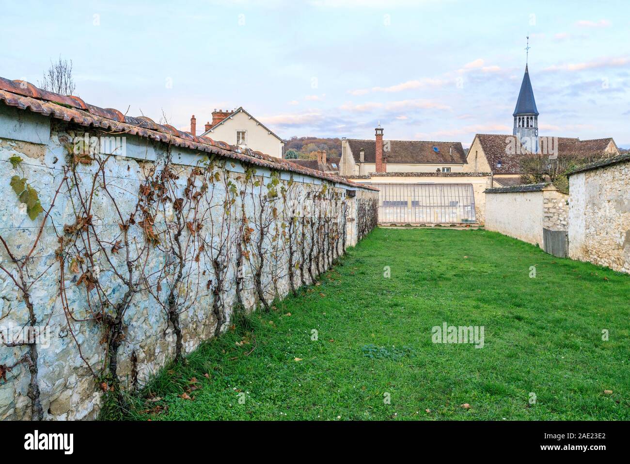 France, Seine et Marne, Thomery, remains of the walls for the production of Chasselas from Thomery // France, Seine-et-Marne (77), Thomery, vestiges d Stock Photo