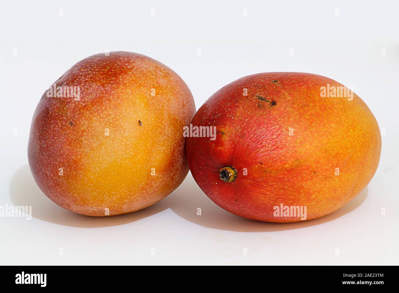 Mango isolated ripe delicious appetizing, bit, bright, dessert, tropical, fruit, diet, food, fresh, good, gourmet, healthy ingredient juicy object org Stock Photo