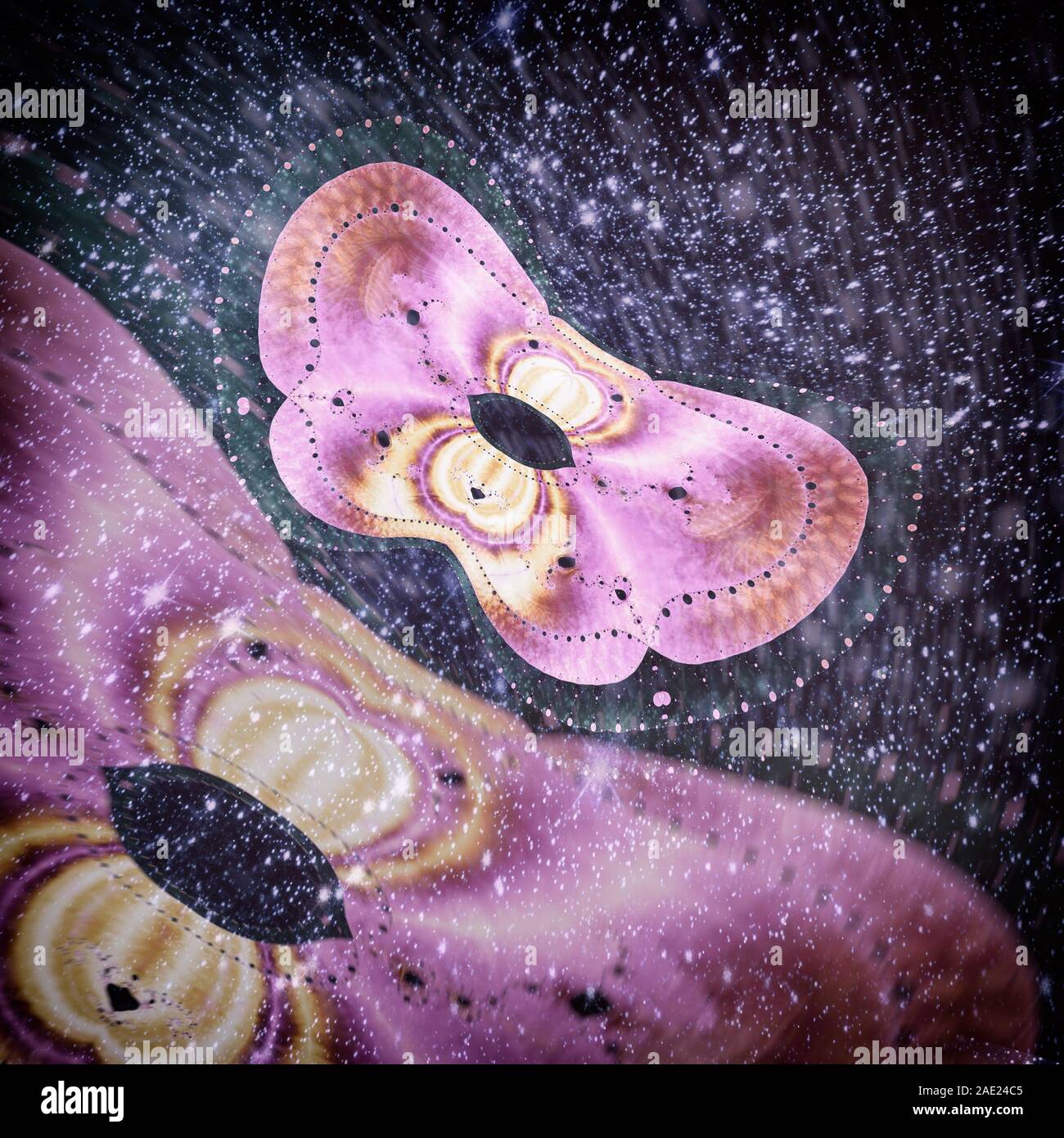 Abstract image of moths on a dark background. Stock Photo