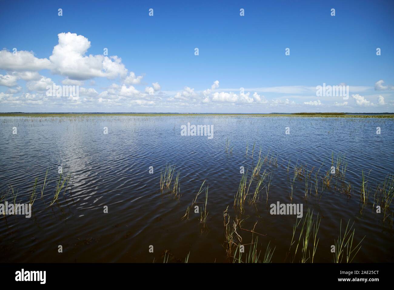 lake tohopekaliga central florida usa Stock Photo