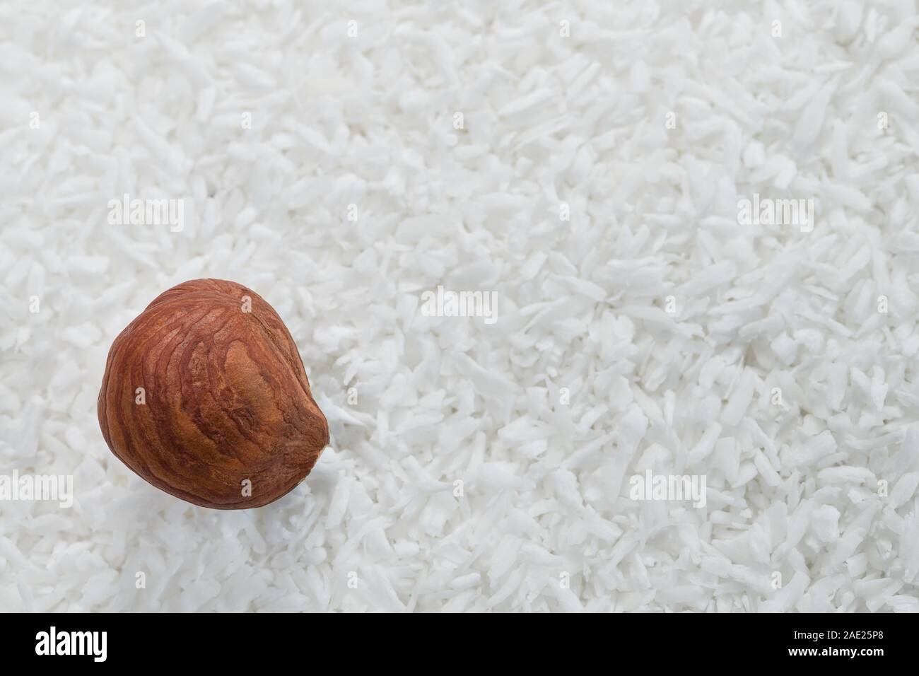 Hazelnut kernel on white coconut texture. Staple food. One peeled hazel