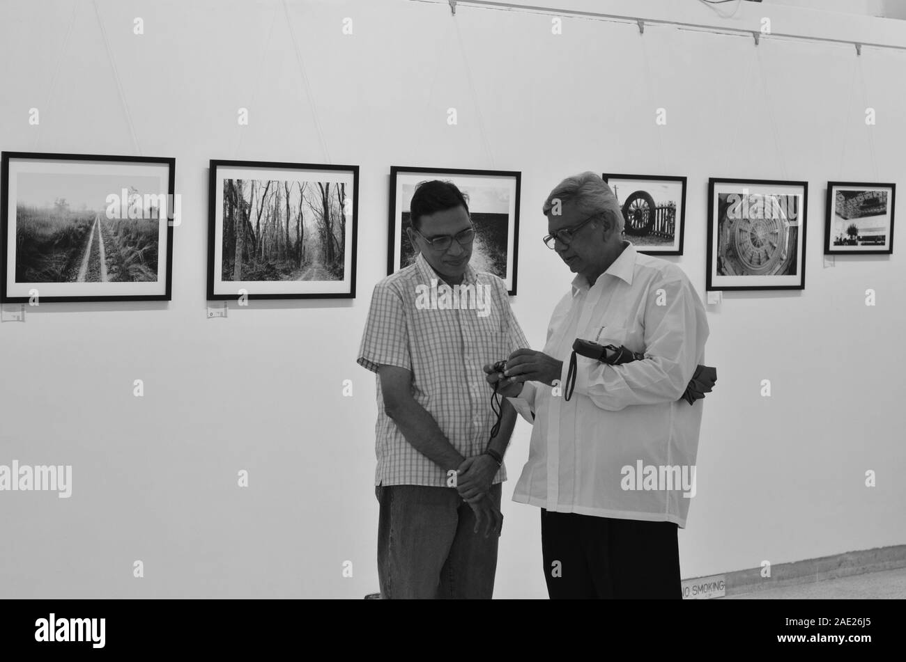White art gallery walls hi-res stock photography and images - Alamy