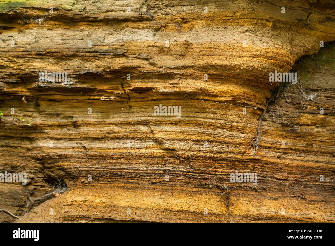 Exposed fluvial sandstone beds cut through by a road near Rotherham