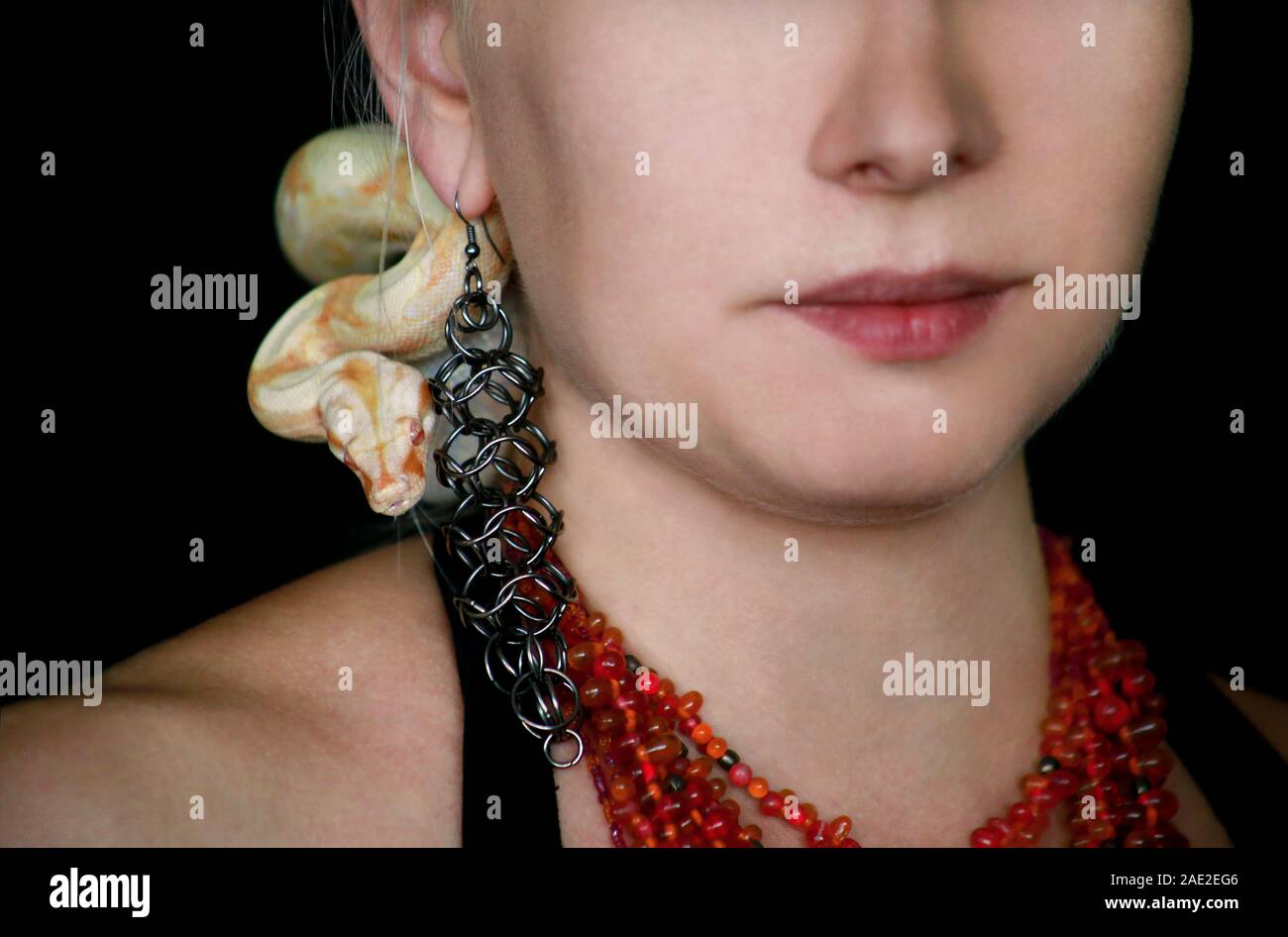 Portrait of girl with Boa constrictor albino snake on head. Woman with ...