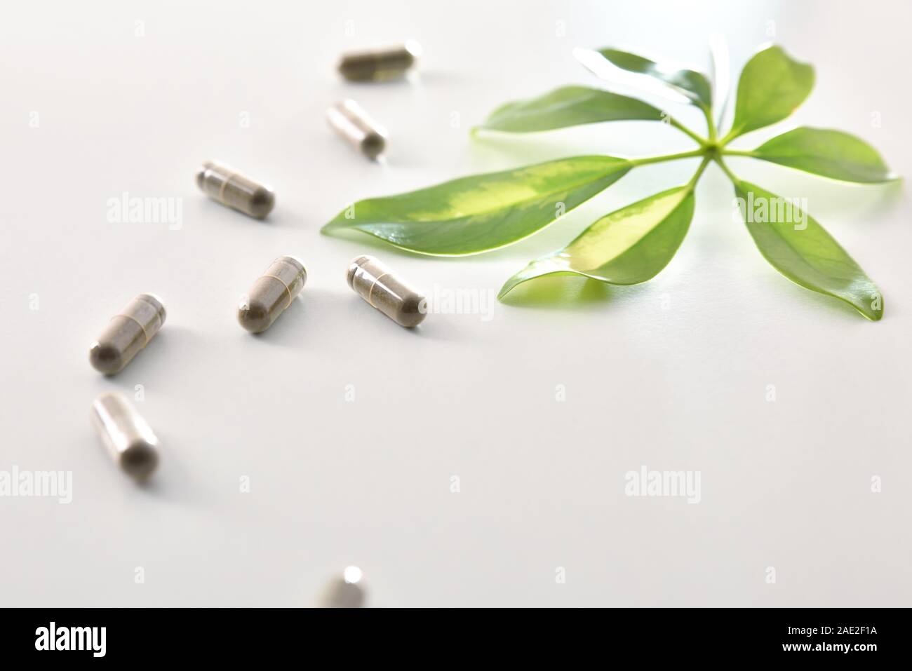 Background with capsules of natural medicine and plant on white table. Natural medicine concept. Elevated view. Horizontal composition. Stock Photo
