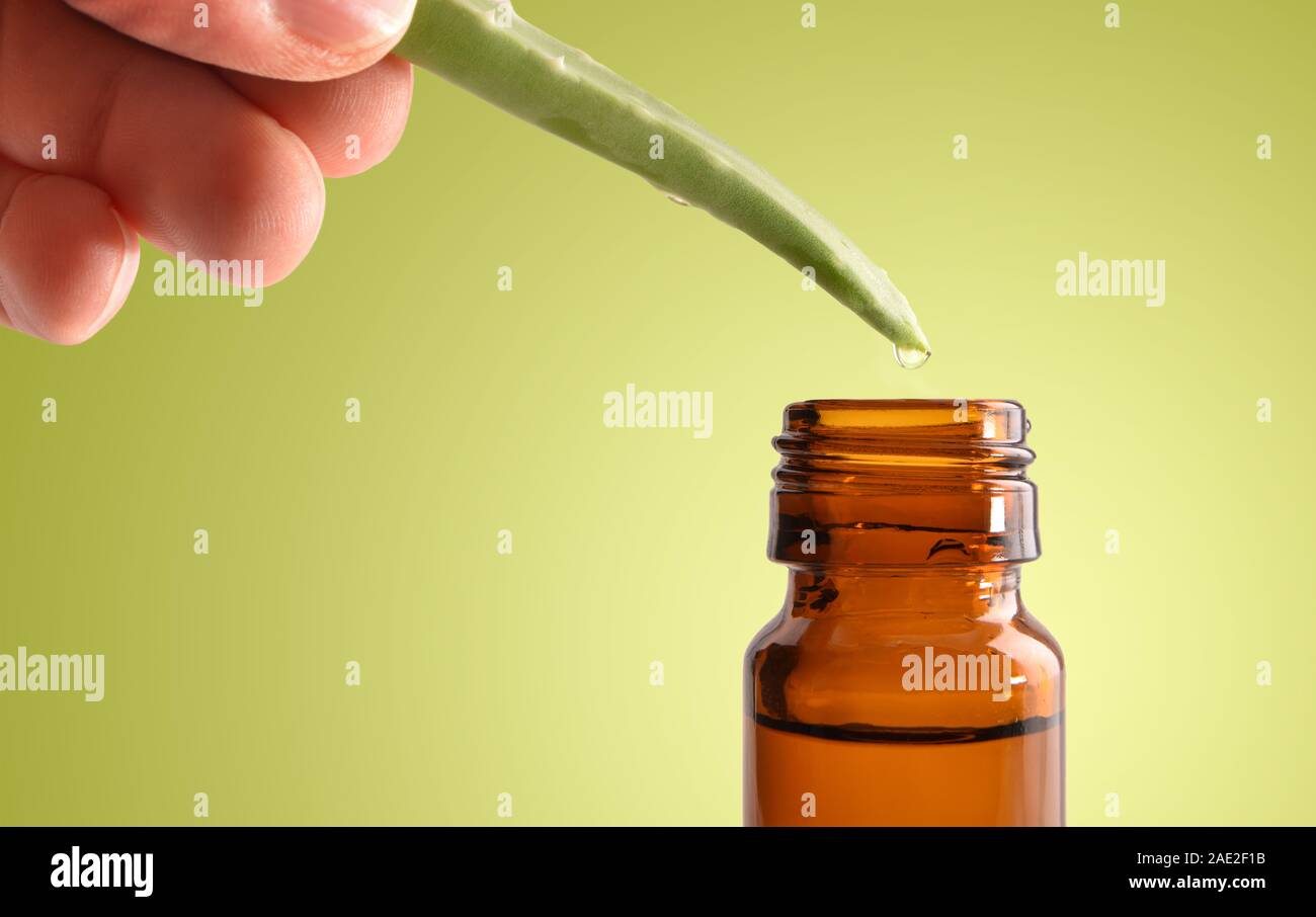 Natural medicine concept with hand with aloe vera leaf and drop falling into glass jar with medicinal liquid and green gradient background. Horizontal Stock Photo