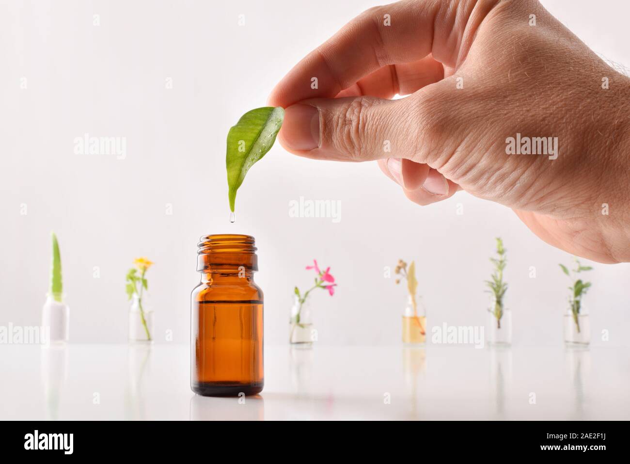 Natural medicine concept with hand with leaf and drop falling into glass jar and bottles with plant essence on table and white background. Horizontal Stock Photo