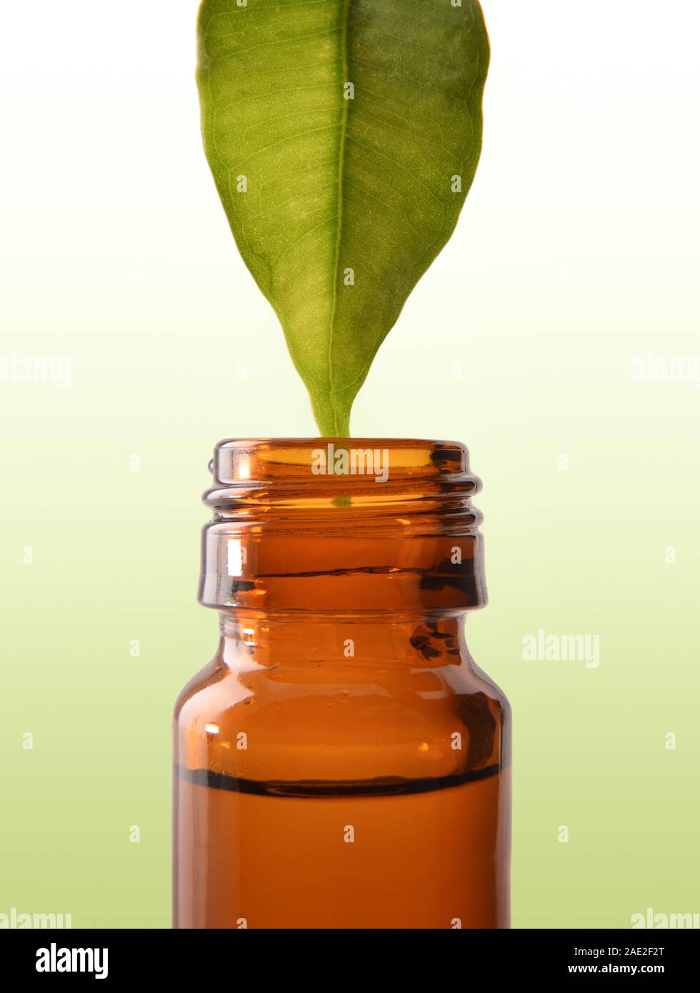 Natural medicine concept leaf and jar with medicinal liquid and green gradient background. Horizontal composition. Front view. Stock Photo