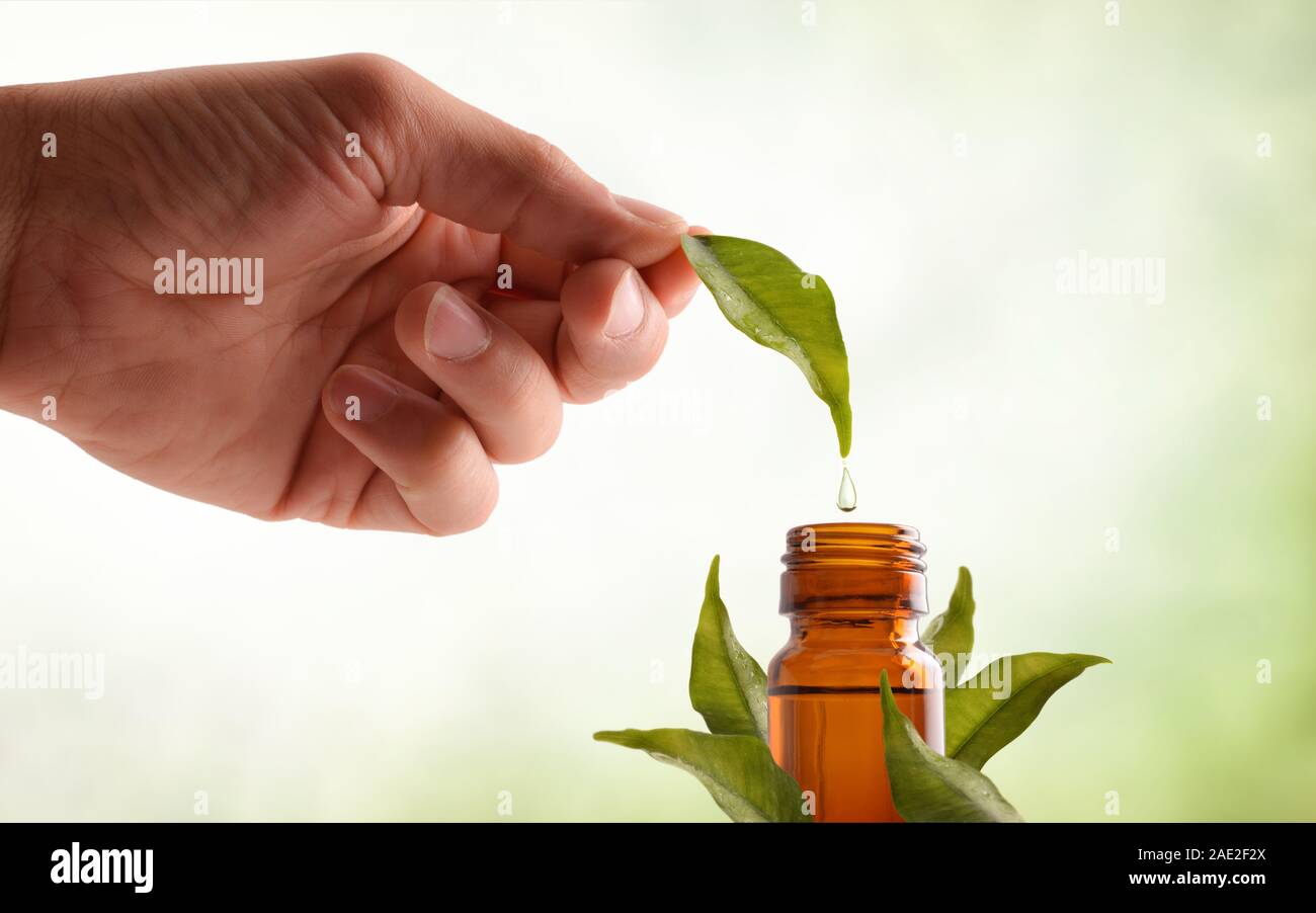 Natural medicine concept with hand with leaf and drop falling into glass jar with medicinal liquid and leaves around with green gradient background. H Stock Photo