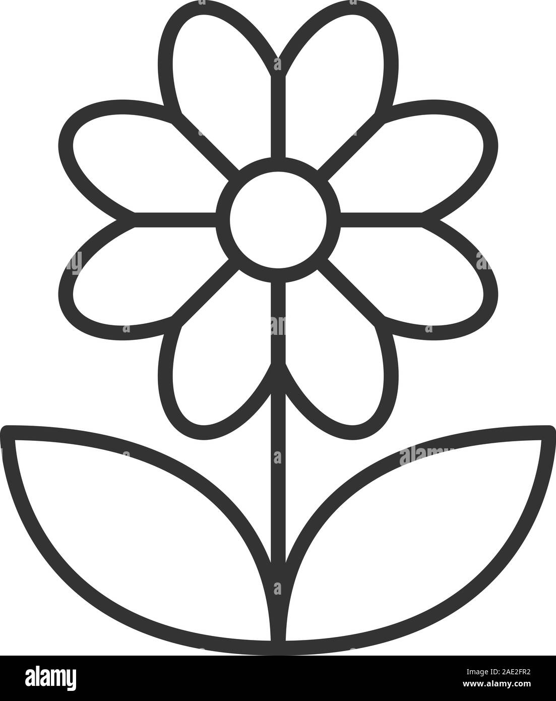 Hand drawn flower daisy outline sketch Royalty Free Vector