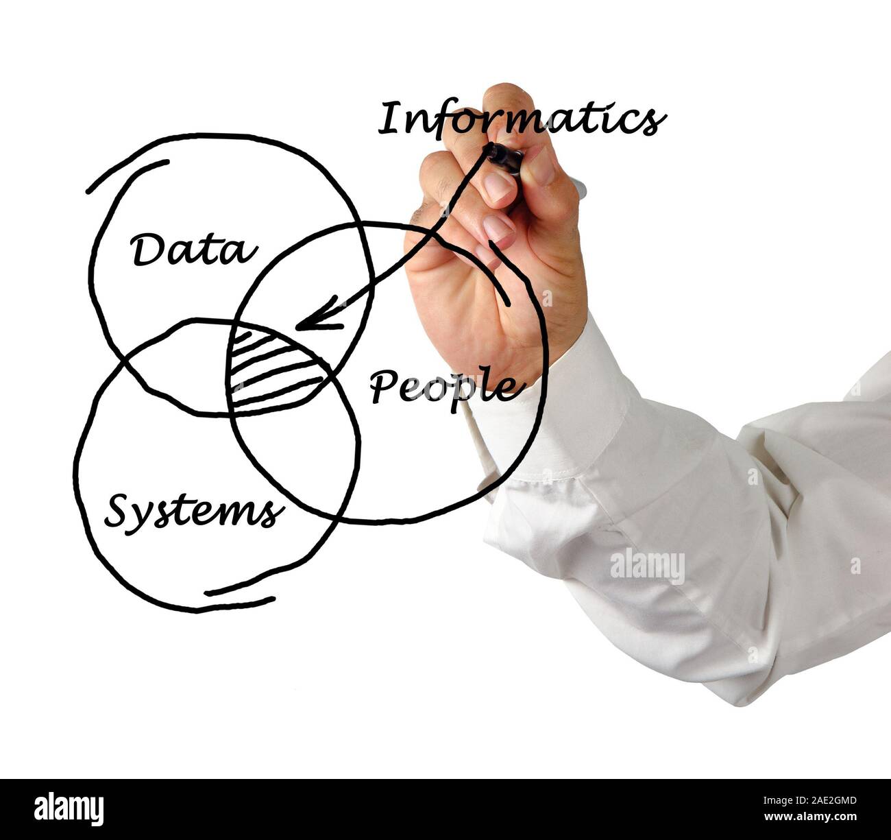 Diagram of informatics Stock Photo Alamy