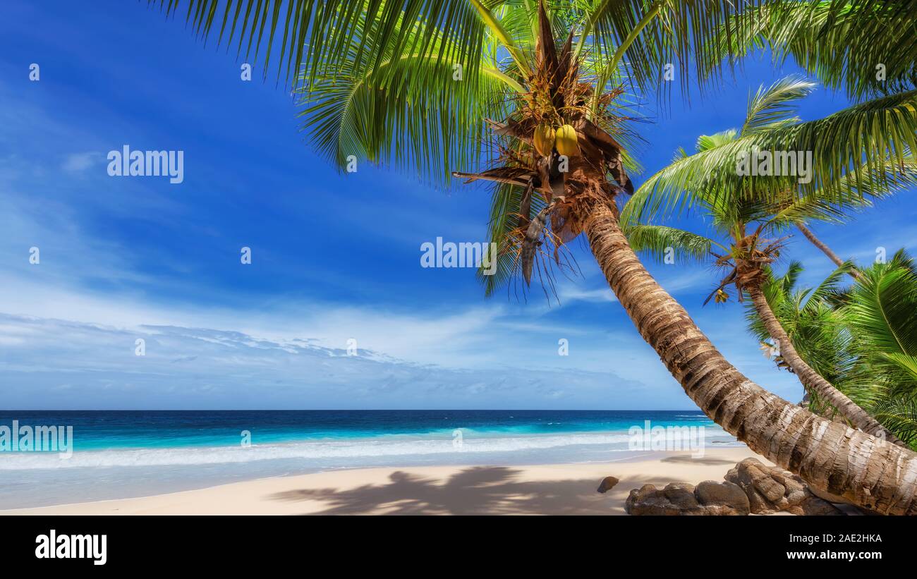 Sunny tropical beach and turquoise sea in exotic paradise island Stock ...