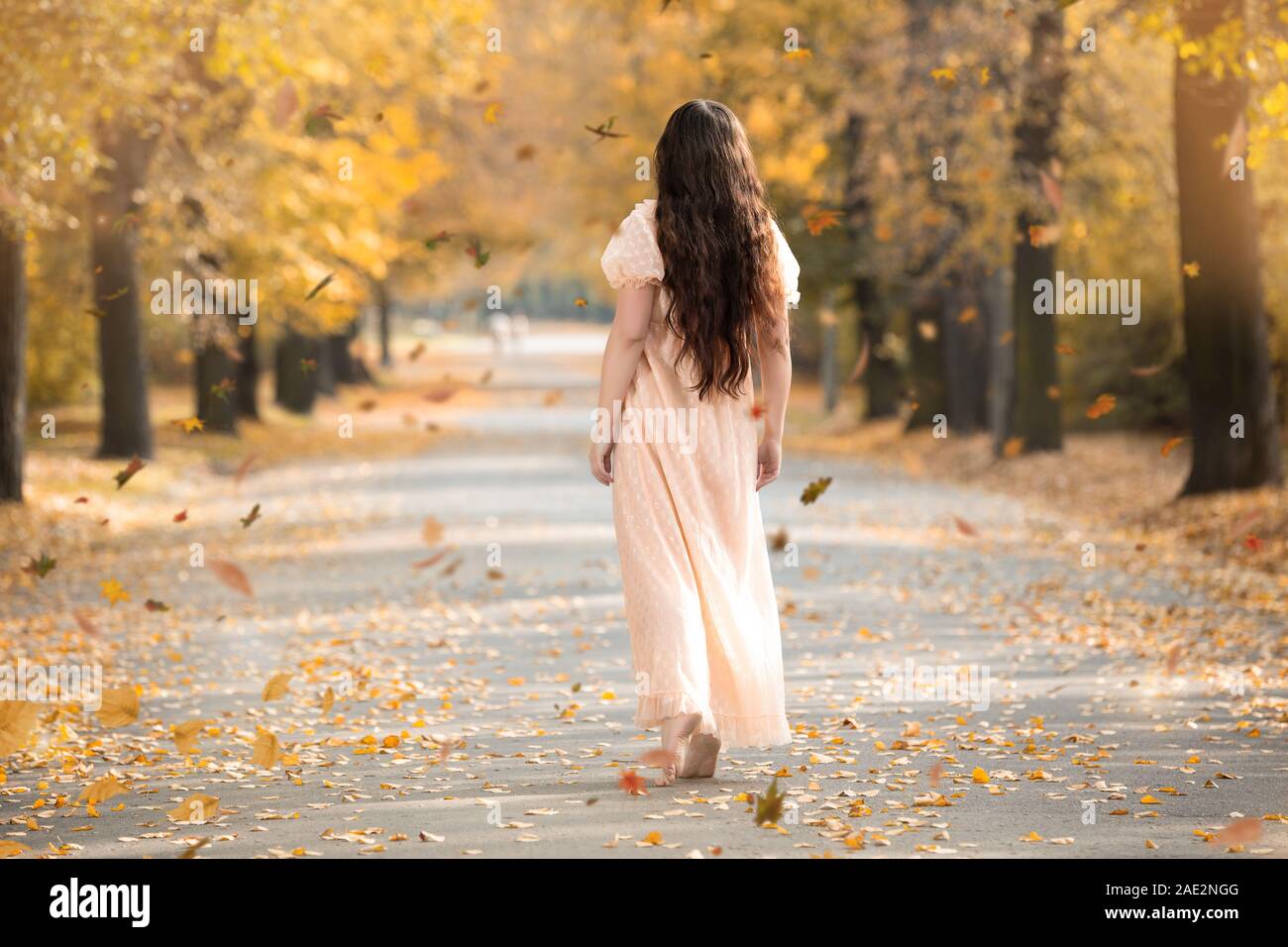 Woman from behind in the autumn park Stock Photo
