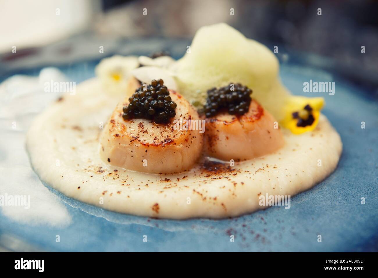 Pan seared sea scallops with caviar and molecular froth on blue clay plate, close-up, cross processing tone Stock Photo