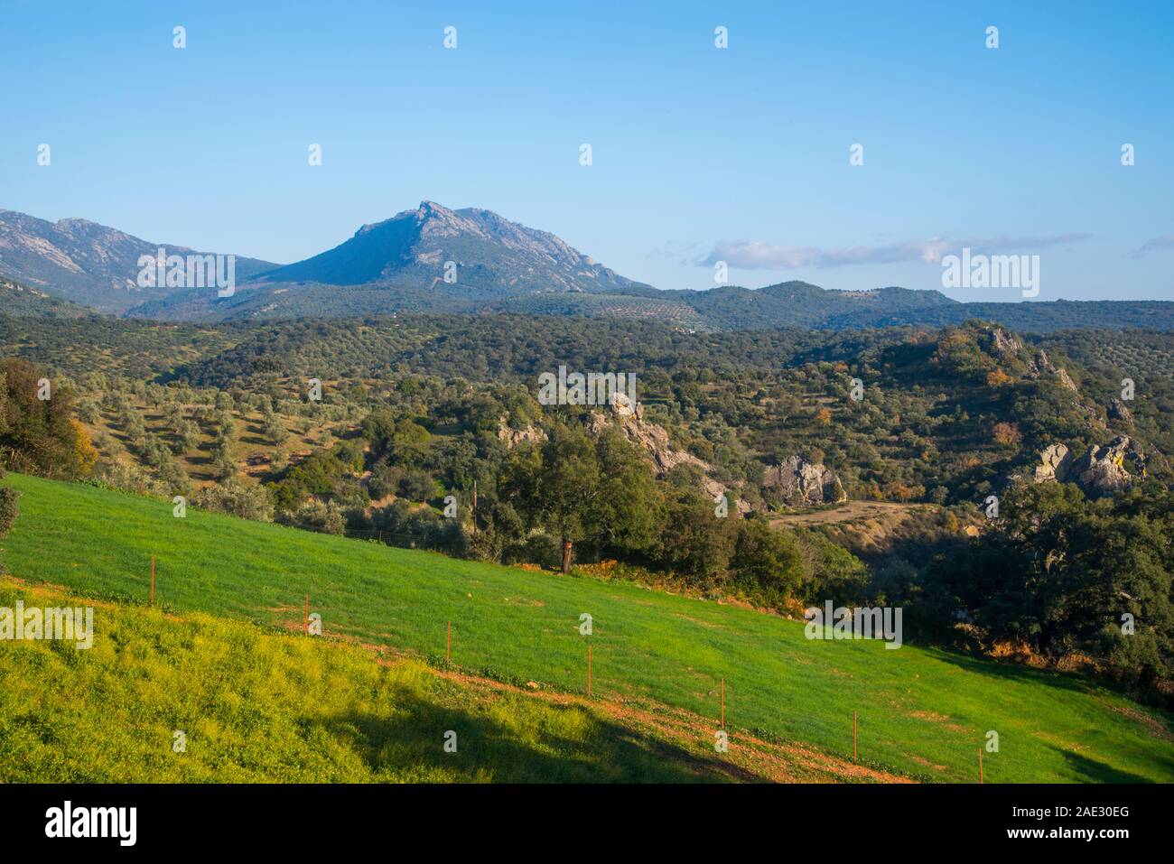 Landscape. Sierra Madrona Nature Reserve, Ciudad Real province, Castilla La Mancha, Spain. Stock Photo