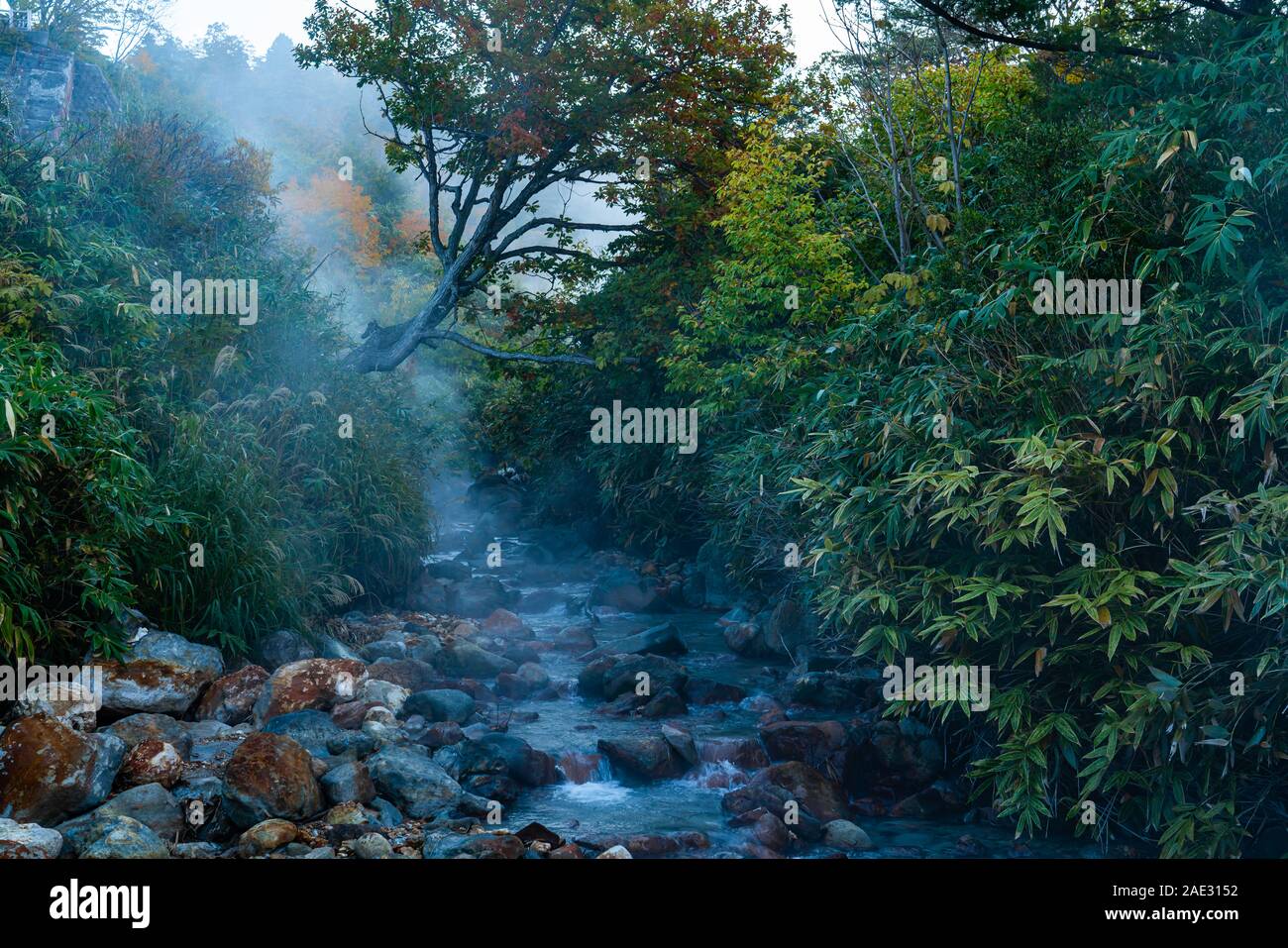 Morning view of the creek in Tamagawa Hot Spring with stream flow over the area in autumn season . Tamagawa hot pring is in Towada Hachimantai Nationa Stock Photo