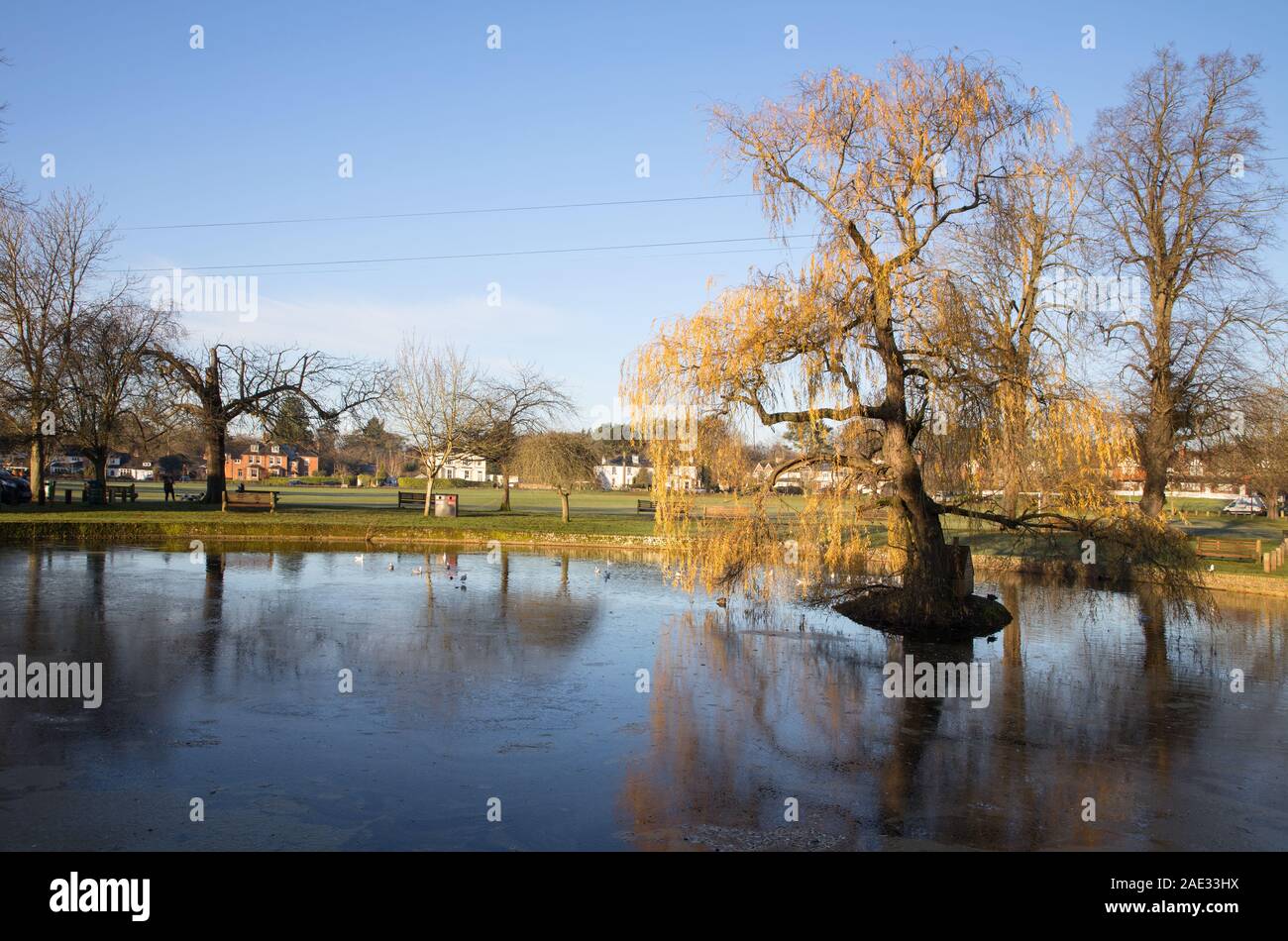 autumn colours and a frozen pond in godstone village surrey Stock Photo