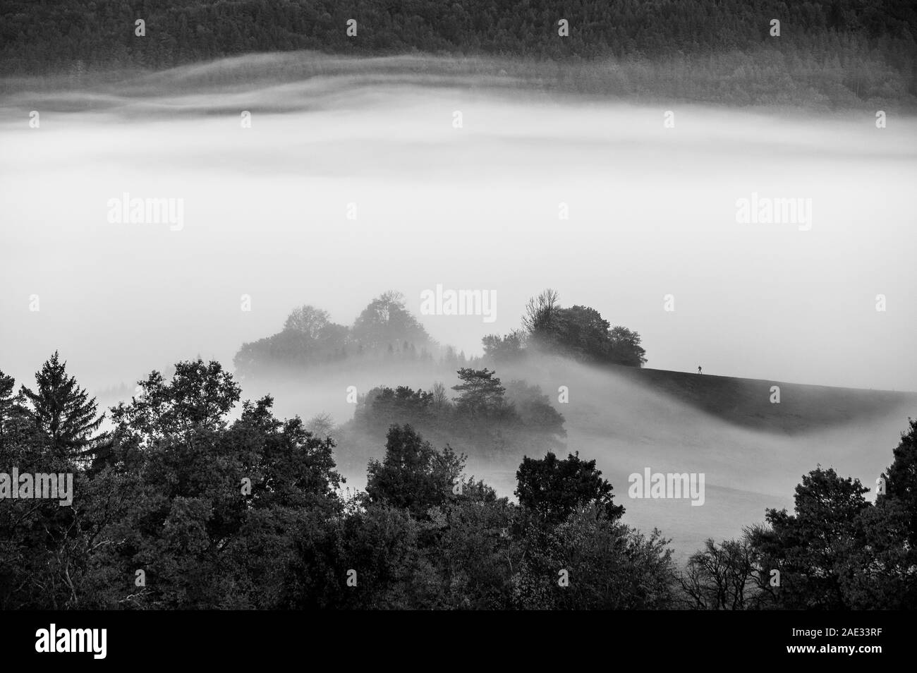 Mist over the meadow, autumn morning landscape, black and white Stock Photo