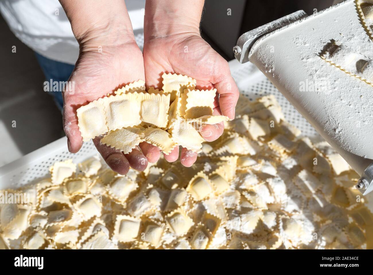 process of production of ravioli, tortellini and cappelletti, typical Italian fresh pasta - hands of the chef showing the freshly produced ravioli Stock Photo