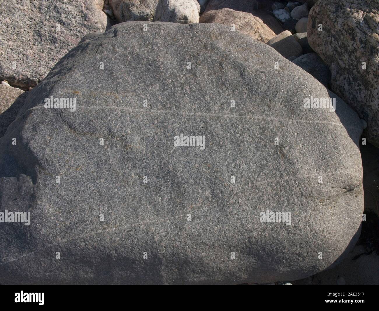 Erratic boulder at the North Coast of Sjaelland, Denmark, near Gilleleje. Stock Photo