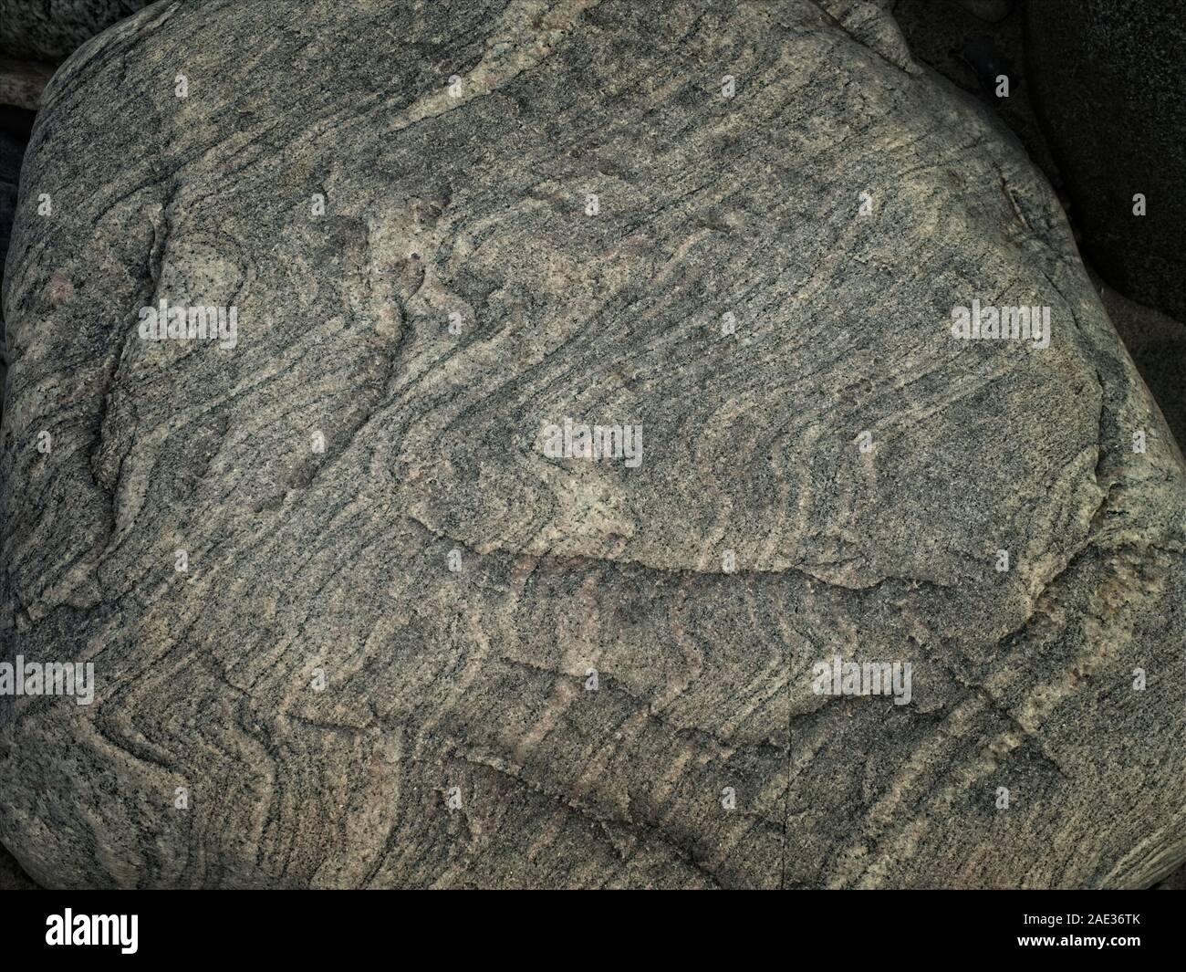 Erratic boulder at the North Coast of Sjaelland, Denmark, near Gilleleje. Stock Photo