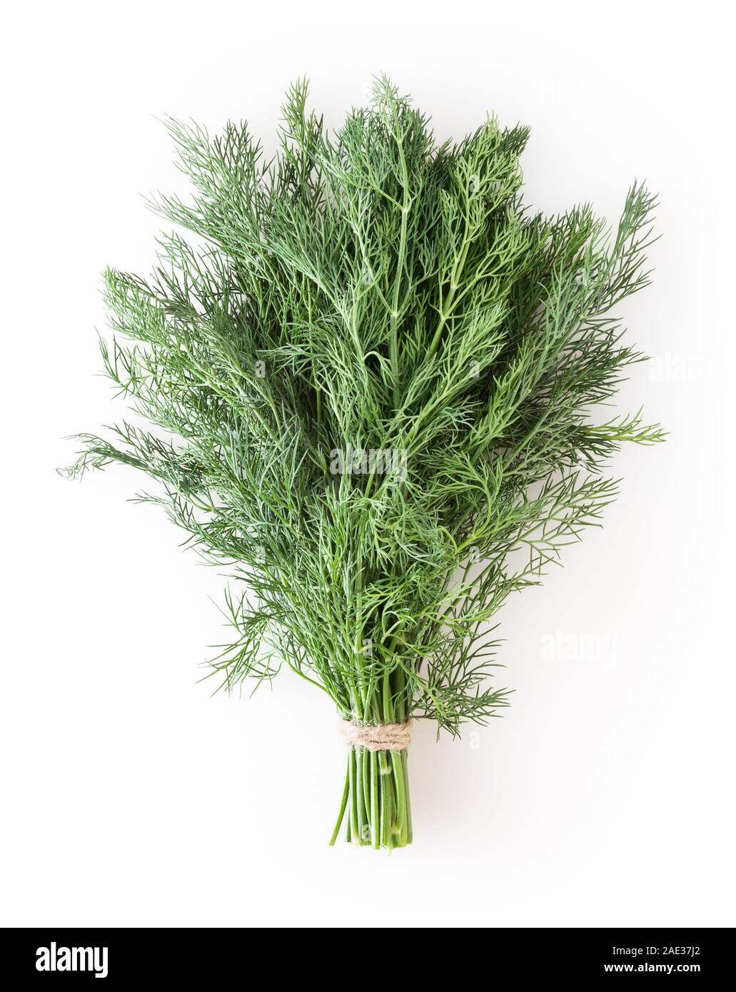 Bunch of fresh dill isolated on white background Stock Photo - Alamy