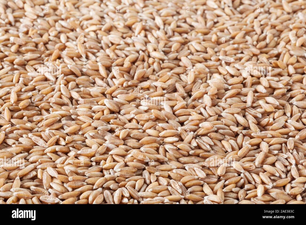 Uncooked spelt grains background Stock Photo