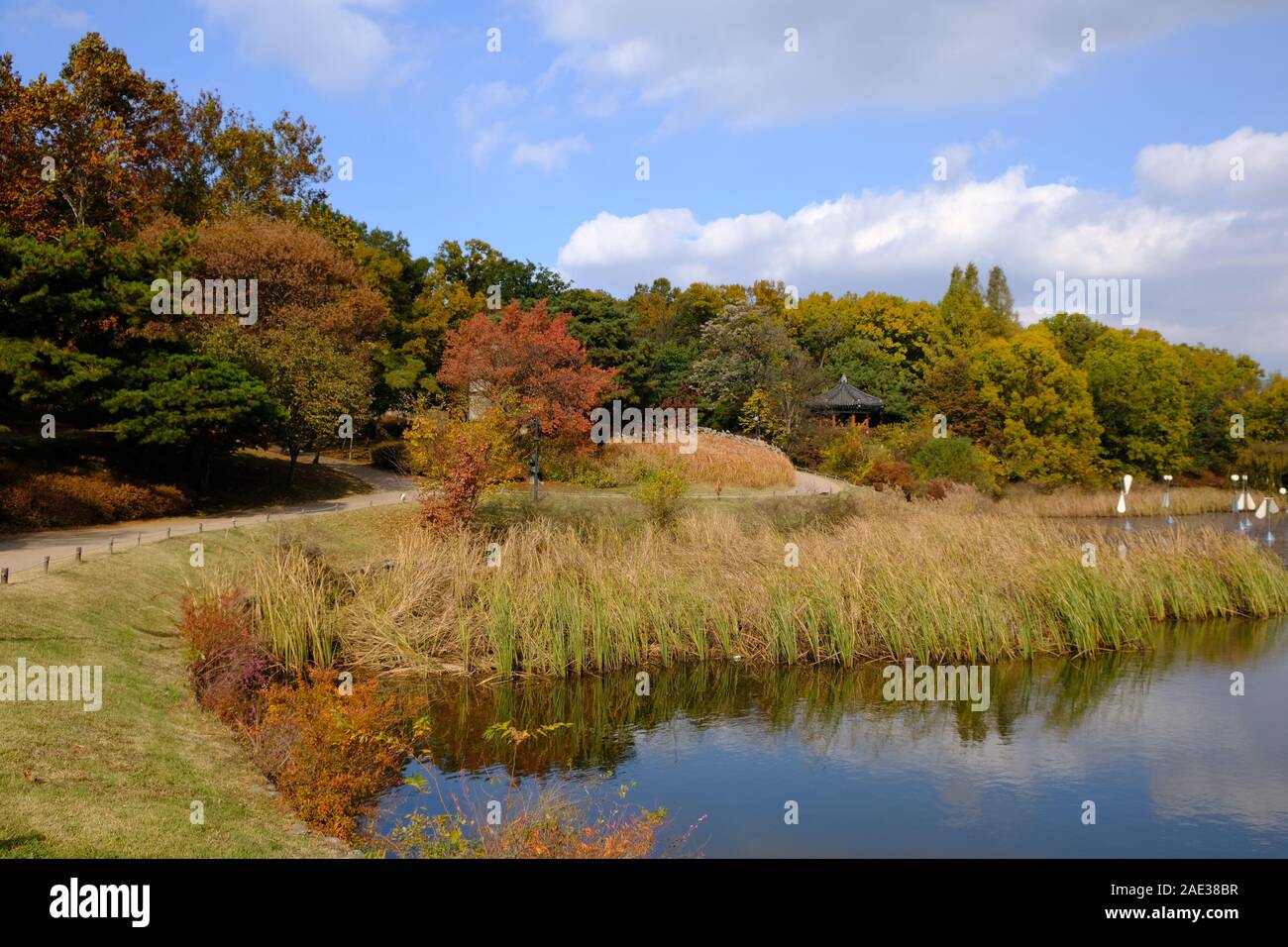 88 Lake, Lake Side, Seoul Olympic Park, By the Lake, Grass, Blue Sky,Green, Red, Orange, Yellow, Fall Colours,Orange and Yellow,Seasonal Hues, Autumn Stock Photo