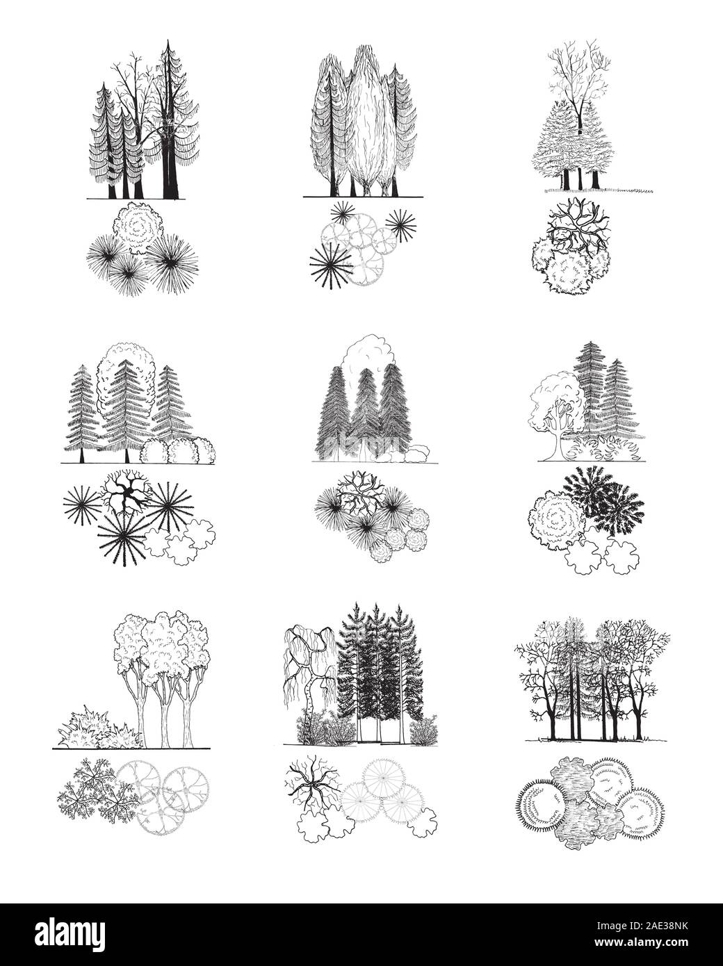 Tree and treetop symbols, vector set for architectural or landscape design Stock Vector