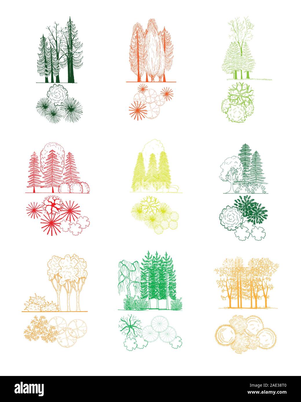 Tree and treetop symbols, vector set for architectural or landscape design Stock Vector