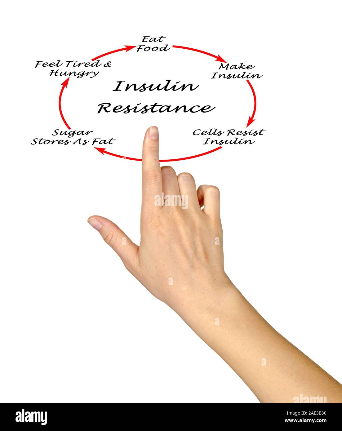 Insulin Resistance Cycle Stock Photo Alamy