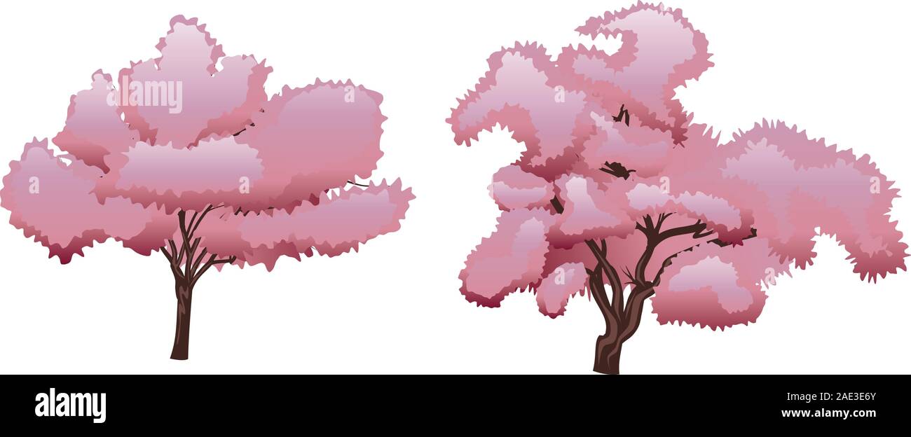 Branch plum tree blooming Stock Vector Images - Alamy