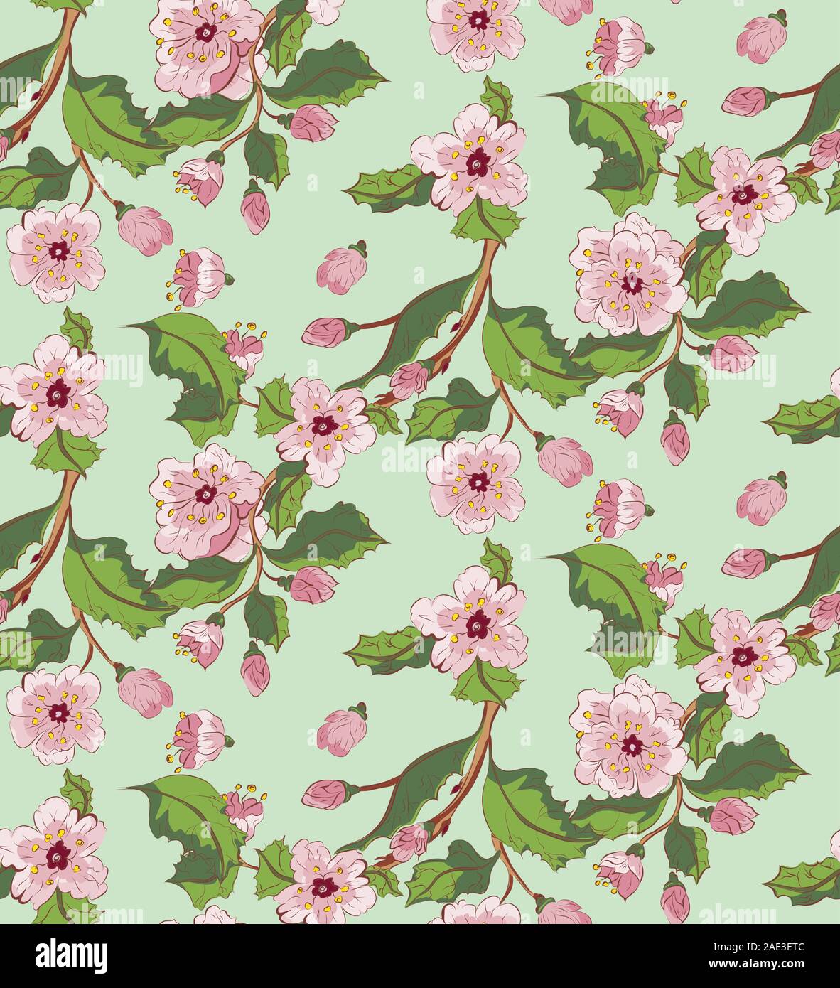 Spring cherry blossom white flowers Stock Vector Images - Alamy