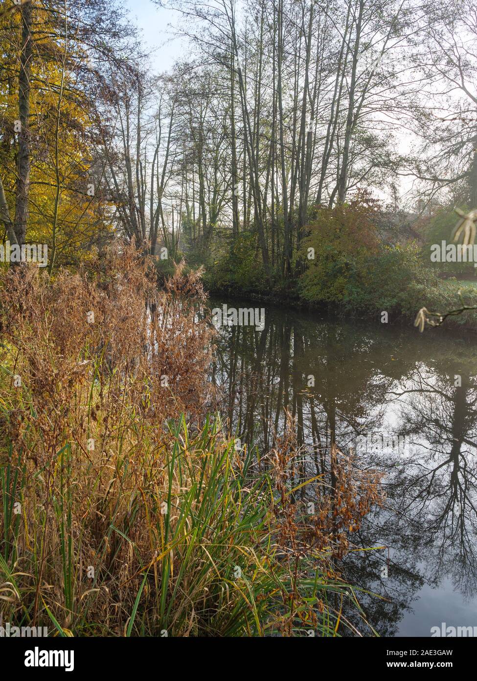 autumn in germany Stock Photo Alamy