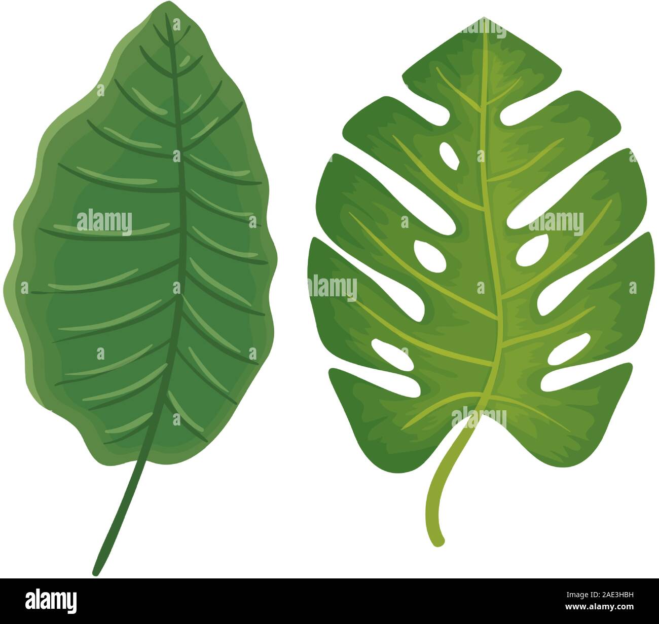 leafs nature tropical isolated icon Stock Vector Image & Art - Alamy