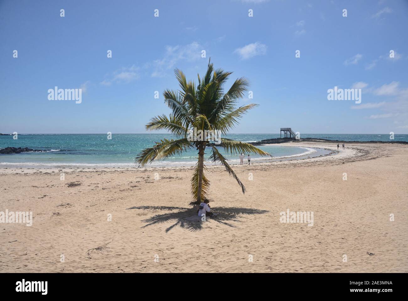 Life in paradise, Puerto Villamil Beach, Isla Isabela, Galapagos Islands, Ecuador Stock Photo