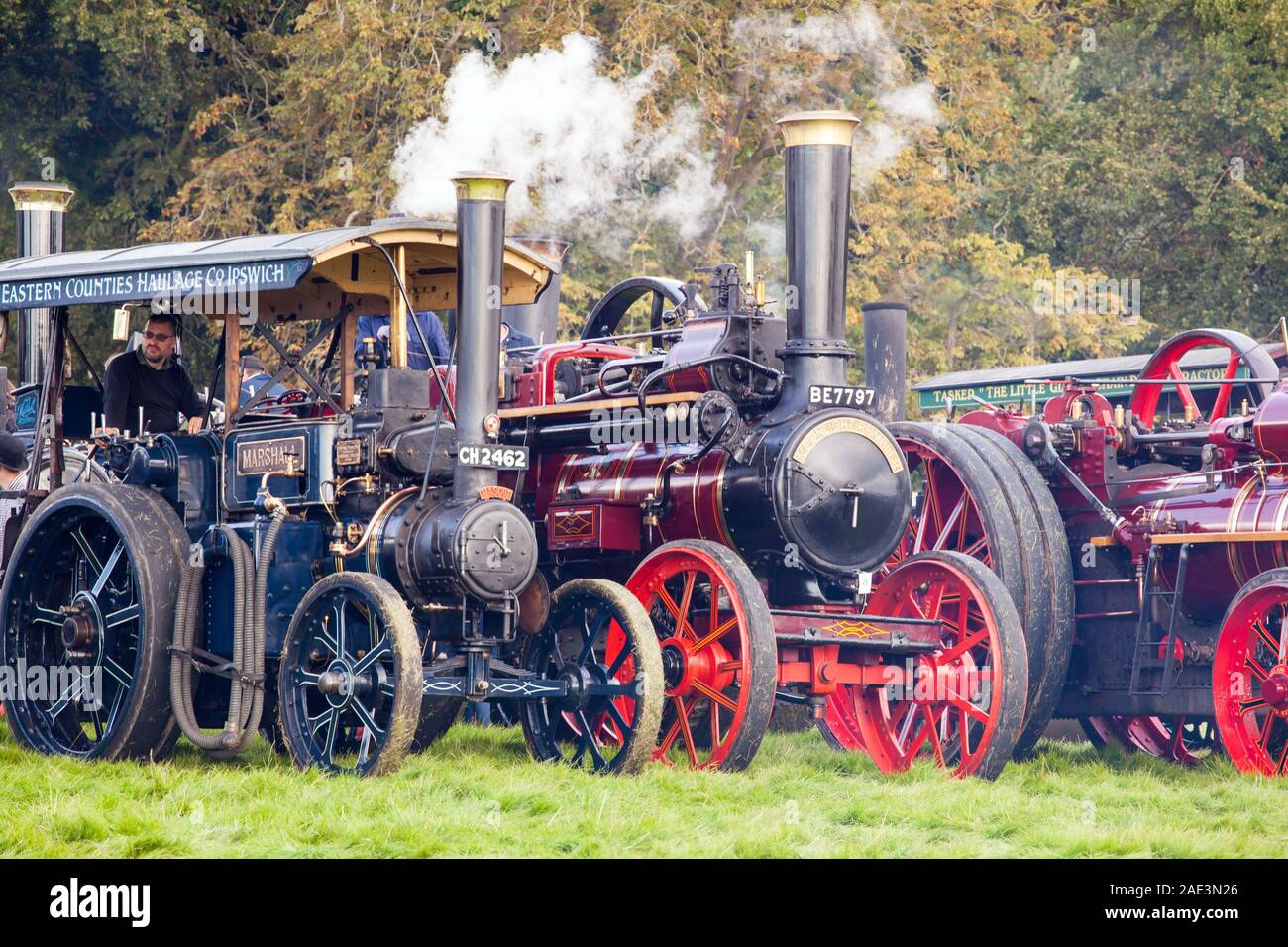 Vintage Steam and traction  engines on display at the Malpas yesteryear steam rally Cheshire England Stock Photo