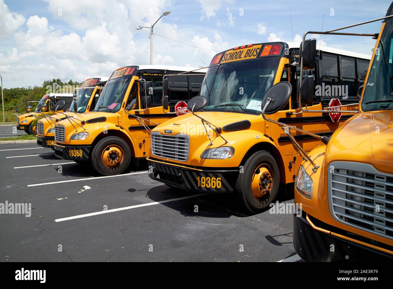 row of thomas built buses type c thomas saf-t-liner c2 yellow school busses kissimmee florida usa Stock Photo