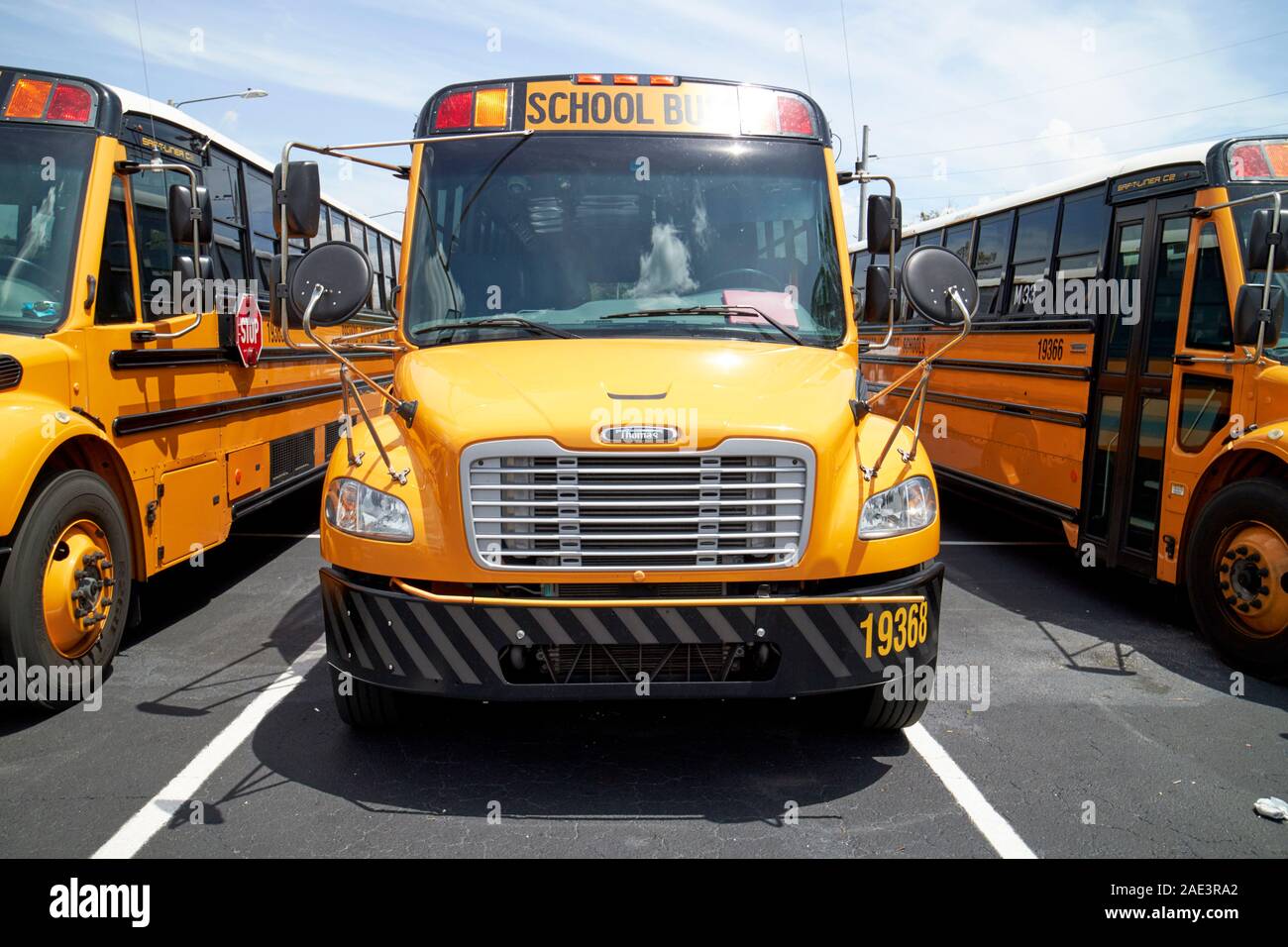 row of thomas built buses type c thomas saf-t-liner c2 yellow school busses kissimmee florida usa Stock Photo