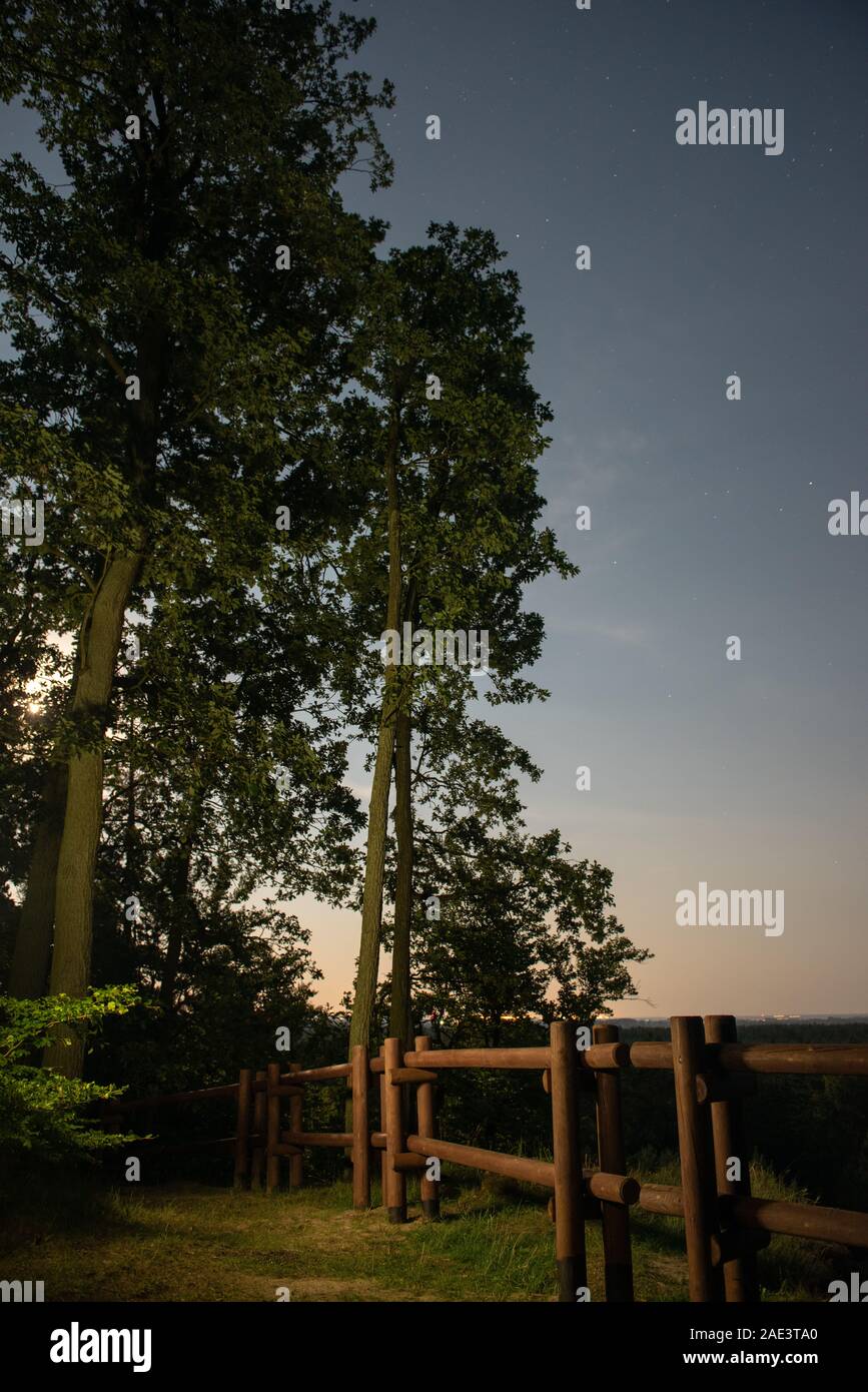 Magical, beautiful moonrise, moonlight on the sky above tree line. Wolinski National Park, Poland. Stock Photo