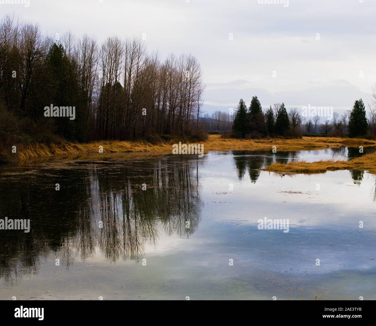This wetland is protected habitat for Western Painted Turtles in Lake