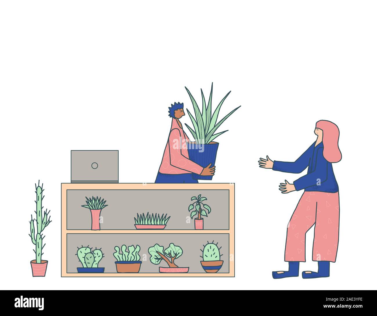 Indoor plants shop. Sale of potted house plants. Sell houseplants