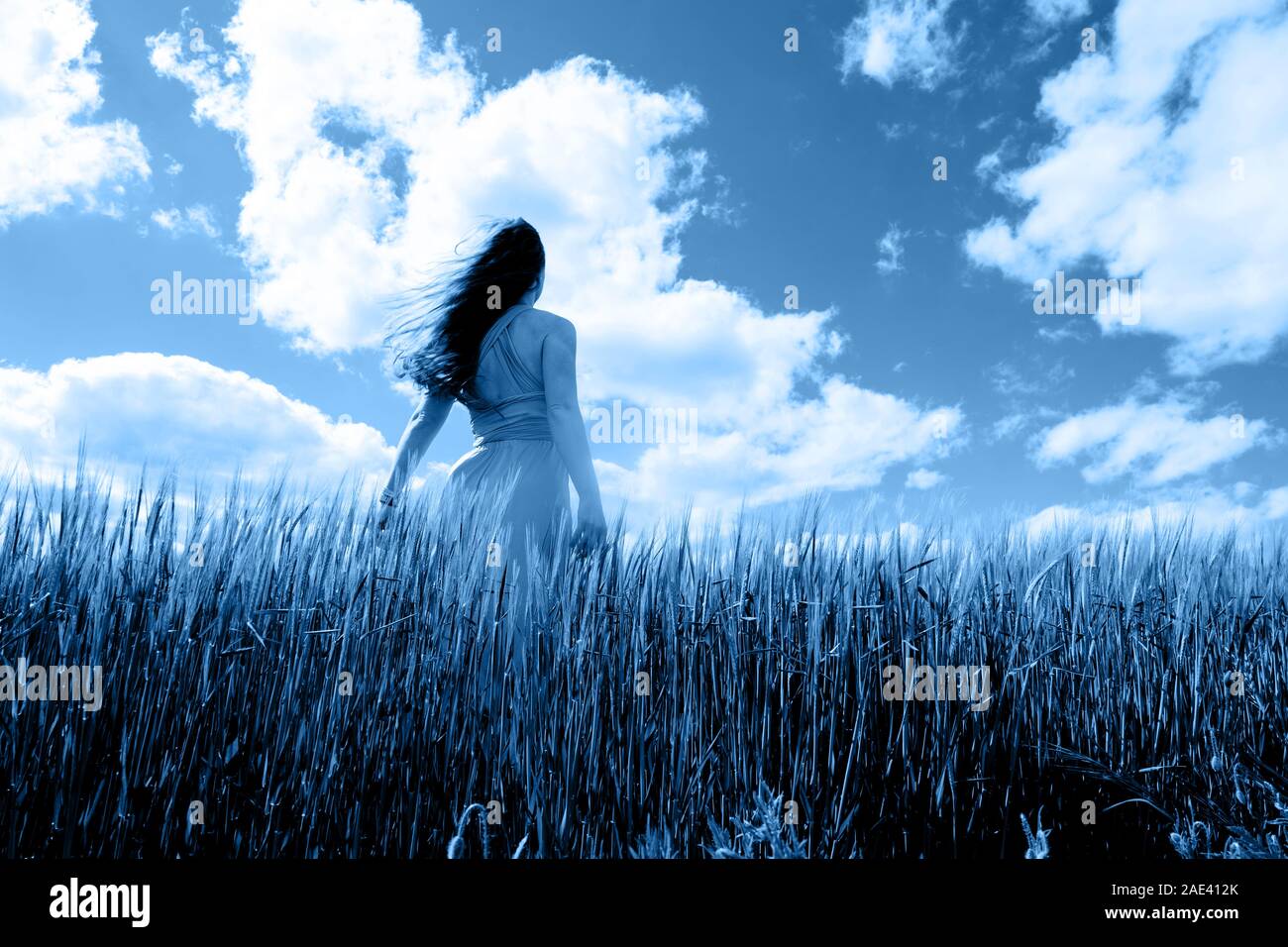 Long-haired woman in a dress on a field of blue wheat Stock Photo - Alamy