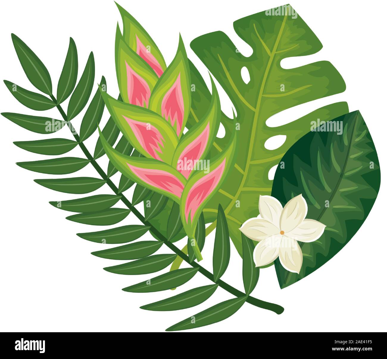 flower heliconia with leafs isolated icon Stock Vector Image & Art - Alamy