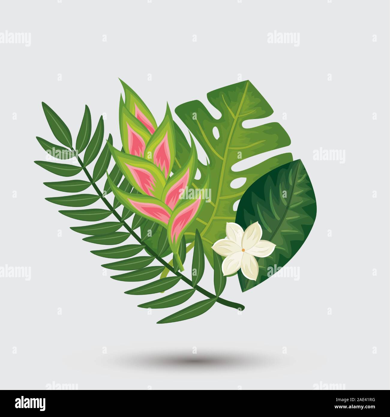 decoration of flowers with leafs tropicals nature Stock Vector Image ...