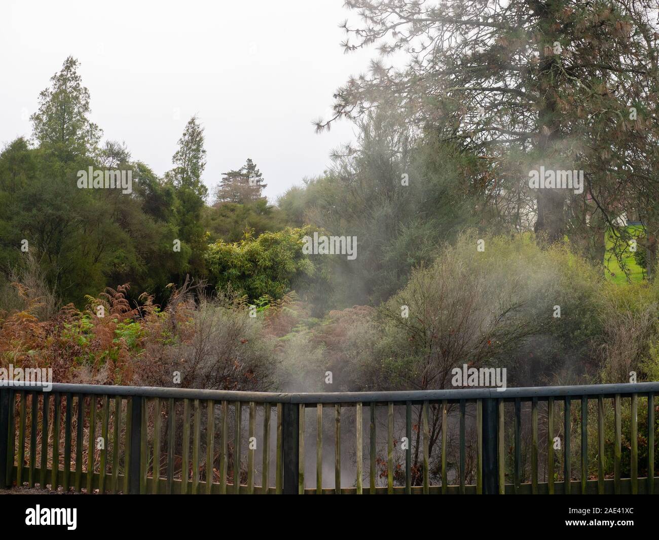 Geothermal Activity At The Quota Scented Garden In Rotorua Stock Photo